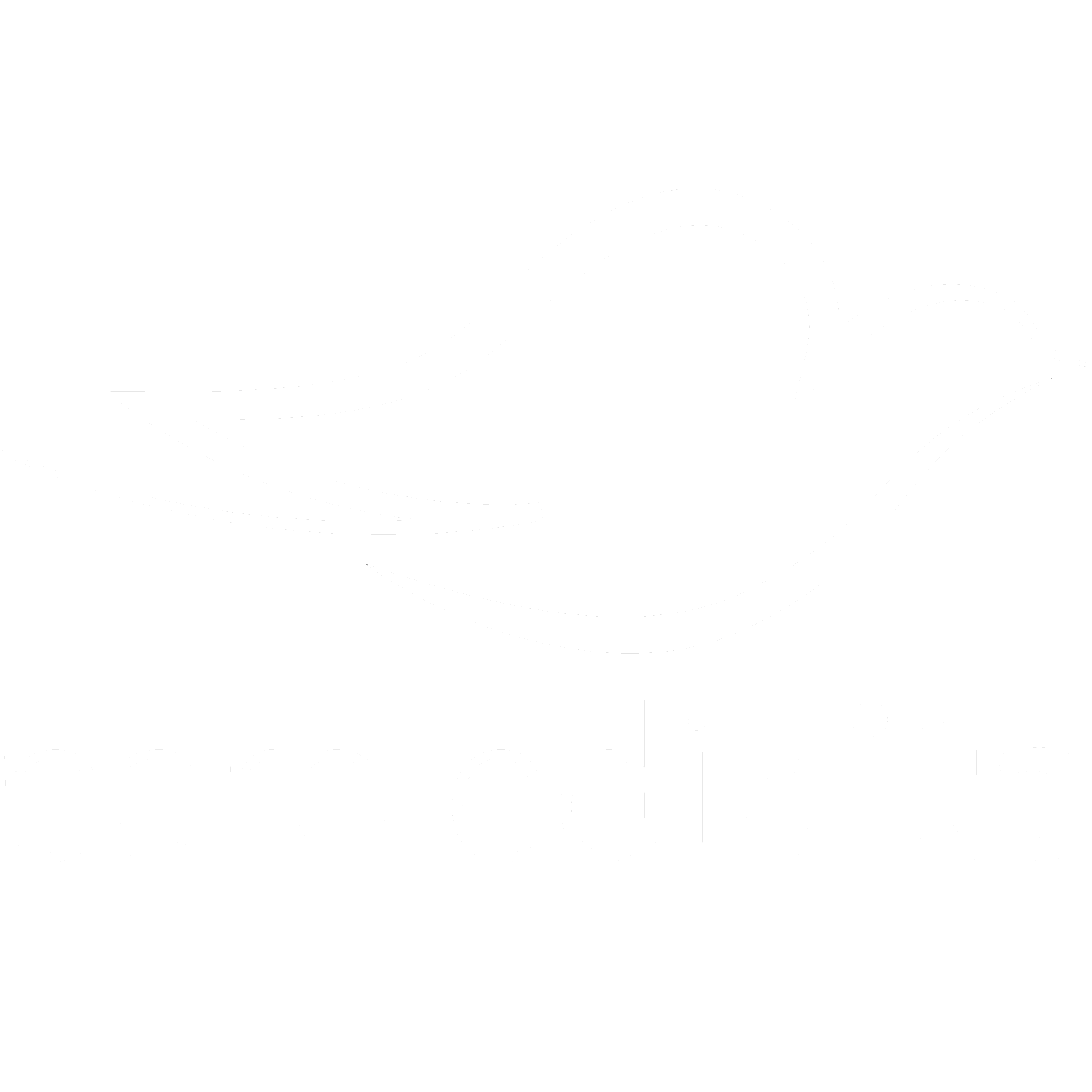 Parole di Vita (LCN 245)