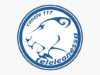 tele leonessa in diretta streaming
