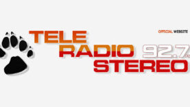 teleradiostereo