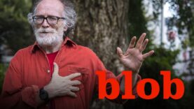 Blob in diretta streaming e On Demand